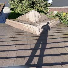 Soft-Wash-Roof-Cleaning-A-Chemical-Free-Approach-to-Roof-Maintenance 1