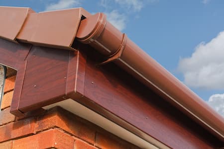 Gutter Cleaning
